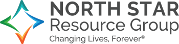 North Star Logo 2020_horiz